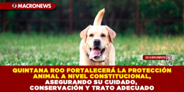 QUINTANA ROO FORTALECERÁ LA PROTECCIÓN ANIMAL A NIVEL CONSTITUCIONAL, ASEGURANDO SU CUIDADO, CONSERVACIÓN Y TRATO ADECUADO