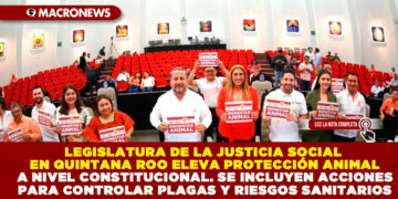 LEGISLATURA DE LA JUSTICIA SOCIAL EN QUINTANA ROO ELEVA PROTECCIÓN ANIMAL A NIVEL CONSTITUCIONAL. SE INCLUYEN ACCIONES PARA CONTROLAR PLAGAS Y RIESGOS SANITARIOS