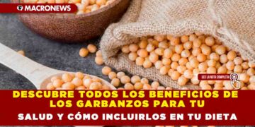 DESCUBRE TODOS LOS BENEFICIOS DE LOS GARBANZOS PARA TU SALUD Y CÓMO INCLUIRLOS EN TU DIETA