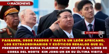 FAISANES, OSOS PARDOS Y HASTA UN LEÓN AFRICANO, LOS EXTRAORDINARIOS Y EXÓTICOS REGALOS QUE EL PRESIDENTE DE RUSIA VLADIMIR PUTIN ENVÍO A EL LIDER DE COREA DEL NORTE KIM JONG-UN EN SU ÚLTIMA VISITA
