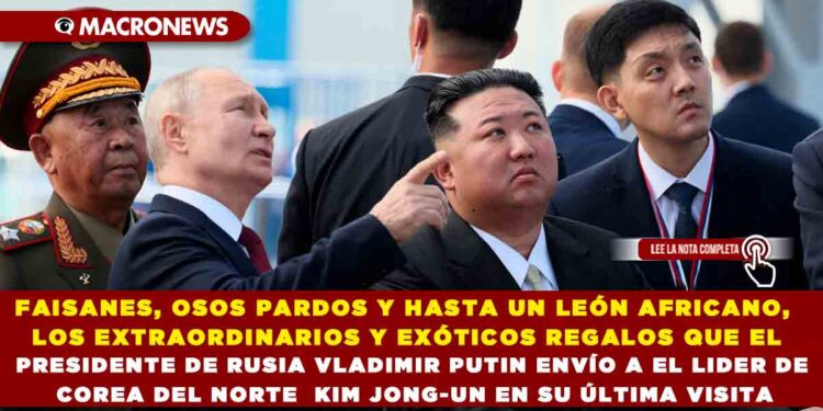 FAISANES, OSOS PARDOS Y HASTA UN LEÓN AFRICANO, LOS EXTRAORDINARIOS Y EXÓTICOS REGALOS QUE EL PRESIDENTE DE RUSIA VLADIMIR PUTIN ENVÍO A EL LIDER DE COREA DEL NORTE KIM JONG-UN EN SU ÚLTIMA VISITA