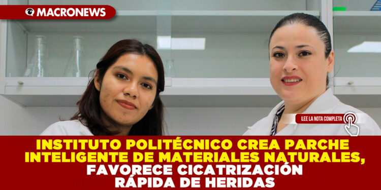 INSTITUTO POLITÉCNICO CREA PARCHE INTELIGENTE DE MATERIALES NATURALES, FAVORECE CICATRIZACIÓN RÁPIDA DE HERIDAS