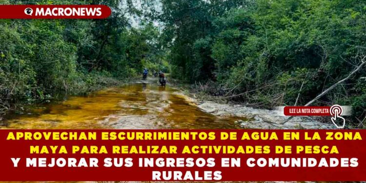 APROVECHAN ESCURRIMIENTOS DE AGUA EN LA ZONA MAYA PARA REALIZAR ACTIVIDADES DE PESCA Y MEJORAR SUS INGRESOS EN COMUNIDADES RURALES