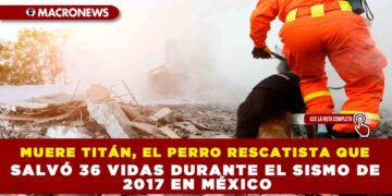 MUERE TITÁN, EL PERRO RESCATISTA QUE SALVÓ 36 VIDAS DURANTE EL SISMO DE 2017 EN MÉXICO