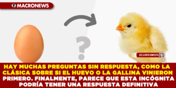 HAY MUCHAS PREGUNTAS SIN RESPUESTA, COMO LA CLÁSICA SOBRE SI EL HUEVO O LA GALLINA VINIERON PRIMERO. FINALMENTE, PARECE QUE ESTA INCÓGNITA PODRÍA TENER UNA RESPUESTA DEFINITIVA