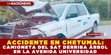 ACCIDENTE EN CHETUMAL: CAMIONETA DEL SAT DERRIBA ÁRBOL EN LA AVENIDA UNIVERSIDAD