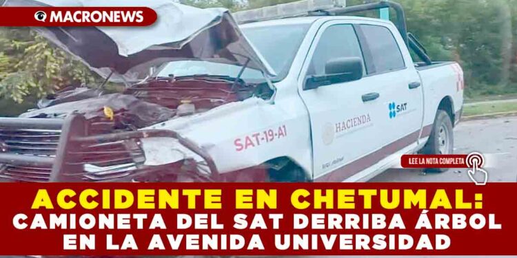 ACCIDENTE EN CHETUMAL: CAMIONETA DEL SAT DERRIBA ÁRBOL EN LA AVENIDA UNIVERSIDAD