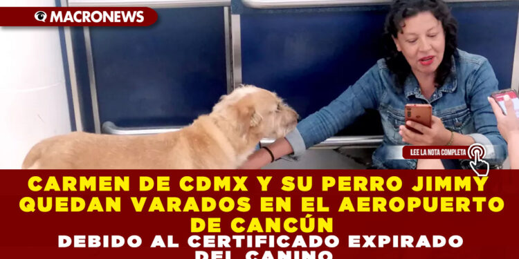 CARMEN DE CDMX Y SU PERROO JIMMY QUEDAN VARADOS EN EL AEROPUERTO DE CANCÚN DEBIDO AL CERTIFICADO EXPIRADO DEL CANINO