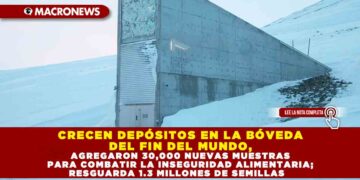 CRECEN DEPÓSITOS EN LA BÓVEDA DEL FIN DEL MUNDO, AGREGARON 30,000 NUEVAS MUESTRAS PARA COMBATIR LA INSEGURIDAD ALIMENTARIA; RESGUARDA 1.3 MILLONES DE SEMILLAS