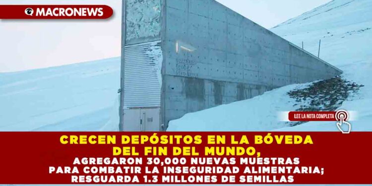 CRECEN DEPÓSITOS EN LA BÓVEDA DEL FIN DEL MUNDO, AGREGARON 30,000 NUEVAS MUESTRAS PARA COMBATIR LA INSEGURIDAD ALIMENTARIA; RESGUARDA 1.3 MILLONES DE SEMILLAS