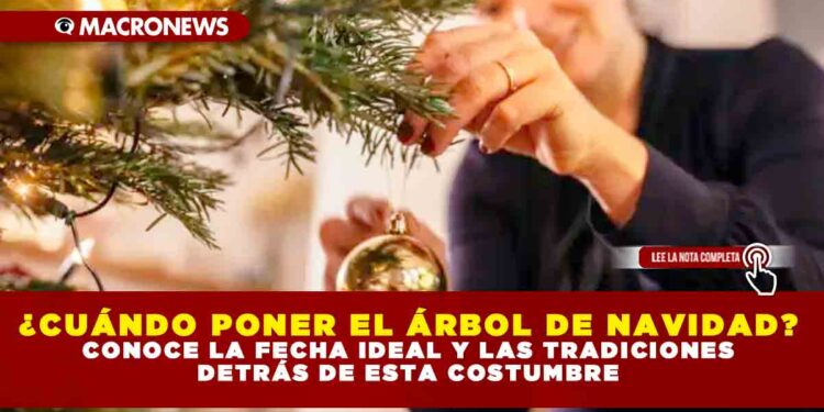 ¿CUÁNDO PONER EL ÁRBOL DE NAVIDAD? CONOCE LA FECHA IDEAL Y LAS TRADICIONES DETRÁS DE ESTA COSTUMBRE