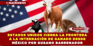 ESTADOS UNIDOS CIERRA LA FRONTERA A LA INTERNACIÓN DE GANADO DESDE MÉXICO POR GUSANO BARRENADOR