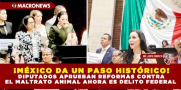 ¡MÉXICO DA UN PASO HISTÓRICO! DIPUTADOS APRUEBAN REFORMAS CONTRA EL MALTRATO ANIMAL AHORA ES DELITO FEDERAL