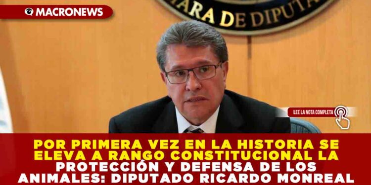 POR PRIMERA VEZ EN LA HISTORIA SE ELEVA A RANGO CONSTITUCIONAL LA PROTECCIÓN Y DEFENSA DE LOS ANIMALES: DIPUTADO RICARDO MONREAL
