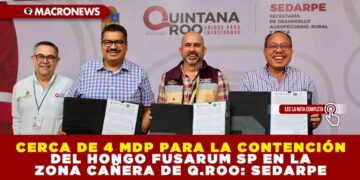 CERCA DE 4 MDP PARA LA CONTENCIÓN DEL HONGO FUSARUM SP EN LA ZONA CAÑERA DE QUINTANA ROO: SEDARPE
