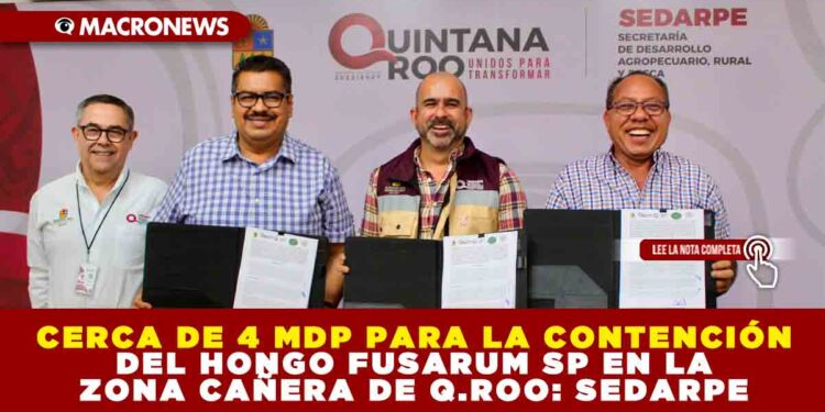 CERCA DE 4 MDP PARA LA CONTENCIÓN DEL HONGO FUSARUM SP EN LA ZONA CAÑERA DE QUINTANA ROO: SEDARPE