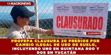PROFEPA CLAUSURA 20 PREDIOS POR CAMBIO ILEGAL DE USO DE SUELO, INCLUYENDO UNO EN QUINTANA ROO Y DOS EN YUCATÁN