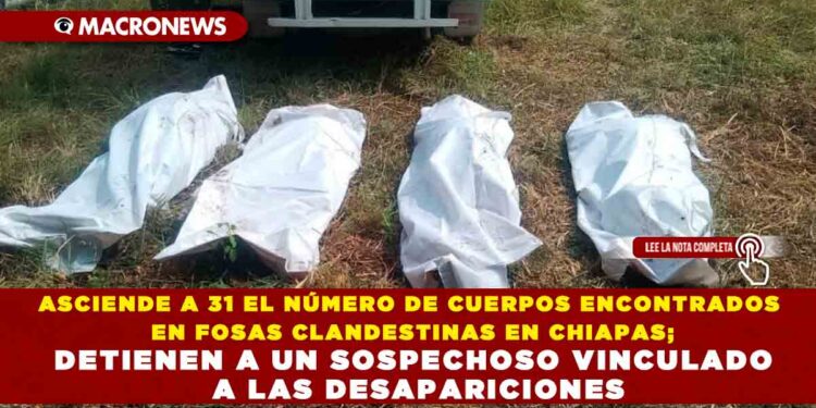 ASCIENDE A 31 EL NÚMERO DE CUERPOS ENCONTRADOS EN FOSAS CLANDESTINAS EN CHIAPAS; DETIENEN A UN SOSPECHOSO VINCULADO A LAS DESAPARICIONES