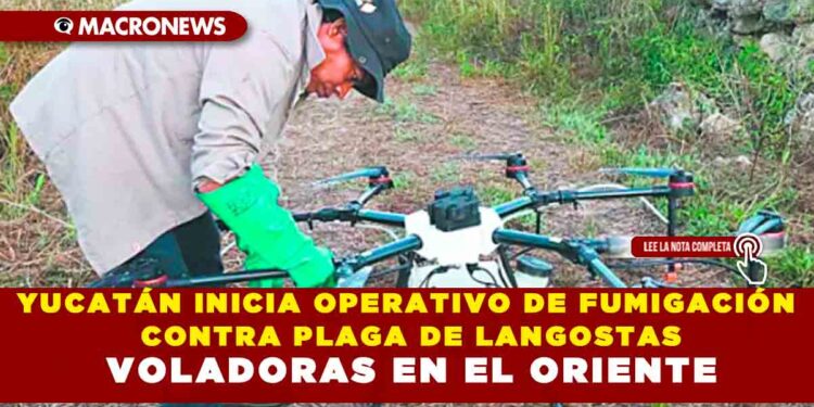 YUCATÁN INICIA OPERATIVO DE FUMIGACIÓN CONTRA PLAGA DE LANGOSTAS VOLADORAS EN EL ORIENTE