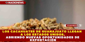 LOS CACAHUATES DE GUANAJUATO LLEGAN A LOS ESTADOS UNIDOS, ABRIENDO NUEVAS OPORTUNIDADES DE EXPORTACIÓN