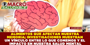 ALIMENTOS QUE AFECTAN NUESTRA MEMORIA; INVESTIGACIONES MUESTRAN UN VÍNCULO ENTRE LO QUE COMEMOS Y EL IMPACTO EN NUESTRA SALUD MENTAL