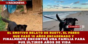 El 80% DE LAS MUJERES PODRÍA PREVENIR EL DETERIORO COGNITIVO CON CAMBIOS EN LA DIETA, REVELAN ESTUDIOS