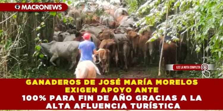 GANADEROS DE JOSÉ MARÍA MORELOS EXIGEN APOYO ANTE UN AÑO EXTREMADAMENTE CRÍTICO PROVOCADO POR LA INTENSA SEQUÍA