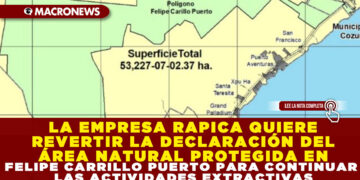 LA EMPRESA RAPICA QUIERE REVERTIR LA DECLARACIÓN DEL ÁREA NATURAL PROTEGIDA EN FELIPE CARRILLO PUERTO PARA CONTINUAR LAS ACTIVIDADES EXTRACTIVAS