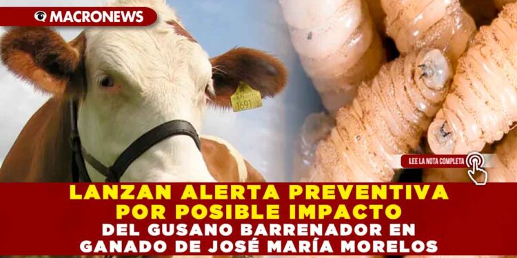 LANZAN ALERTA PREVENTIVA POR POSIBLE IMPACTO DEL GUSANO BARRENADOR EN GANADO DE JOSÉ MARÍA MORELOS