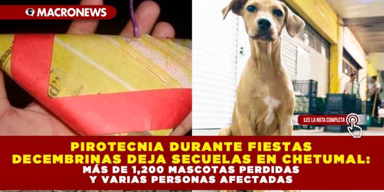 PIROTECNIA DURANTE FIESTAS DECEMBRINAS DEJA SECUELAS EN CHETUMAL: MÁS DE 1,200 MASCOTAS PERDIDAS Y VARIAS PERSONAS AFECTADAS