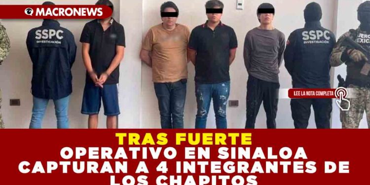 TRAS FUERTE OPERATIVO EN SINALOA CAPTURAN A 4 INTEGRANTES DE LOS CHAPITOS