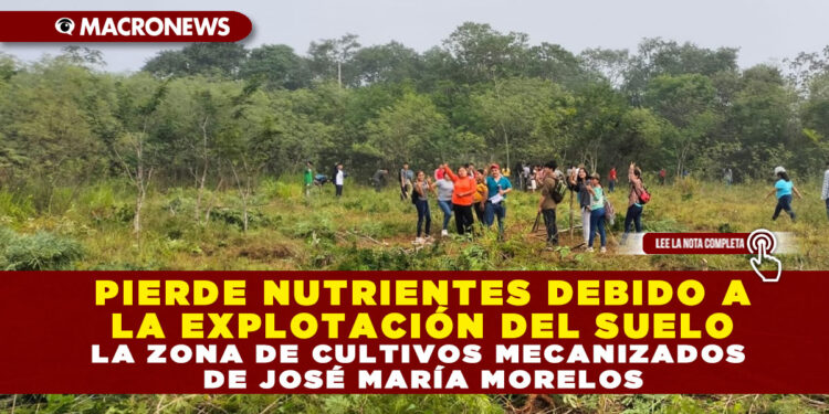 PIERDE NUTRIENTES DEBIDO A LA EXPLOTACIÓN DEL SUELO LA ZONA DE CULTIVOS MECANIZADOS DE JOSÉ MARÍA MORELOS