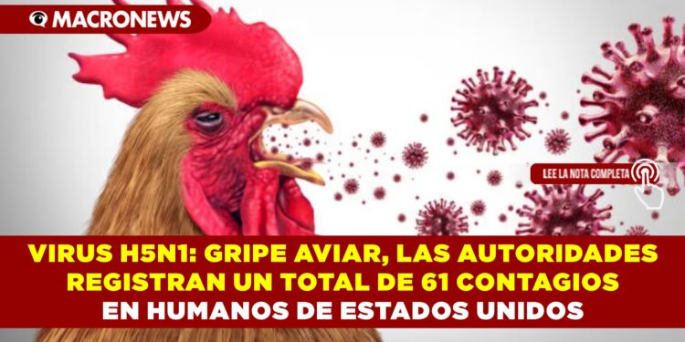 VIRUS H5N1: GRIPE AVIAR, LAS AUTORIDADES REGISTRAN UN TOTAL DE 61 CONTAGIOS EN HUMANOS DE ESTADOS UNIDOS