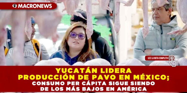 YUCATÁN LIDERA PRODUCCIÓN DE PAVO EN MÉXICO; CONSUMO PER CÁPITA SIGUE SIENDO DE LOS MÁS BAJOS EN AMÉRICA