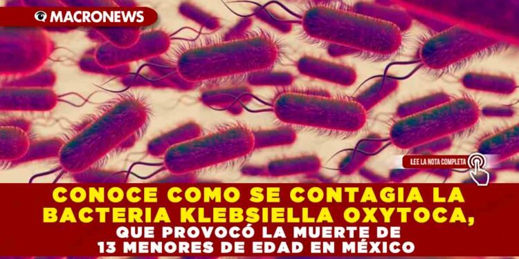 CONOCE COMO SE CONTAGIA LA BACTERIA KLEBSIELLA OXYTOCA, QUE PROVOCÓ LA MUERTE DE 13 MENORES DE EDAD EN MÉXICO