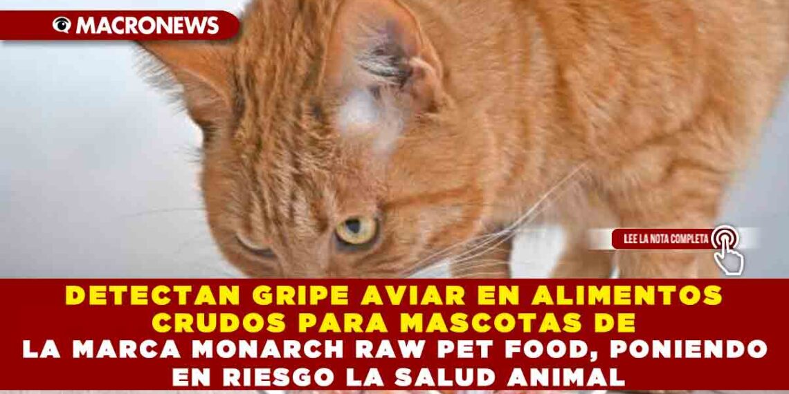 DETECTAN GRIPE AVIAR EN ALIMENTOS CRUDOS PARA MASCOTAS DE LA MARCA MONARCH RAW PET FOOD, PONIENDO EN RIESGO LA SALUD ANIMAL