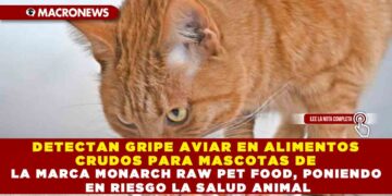 DETECTAN GRIPE AVIAR EN ALIMENTOS CRUDOS PARA MASCOTAS DE LA MARCA MONARCH RAW PET FOOD, PONIENDO EN RIESGO LA SALUD ANIMAL