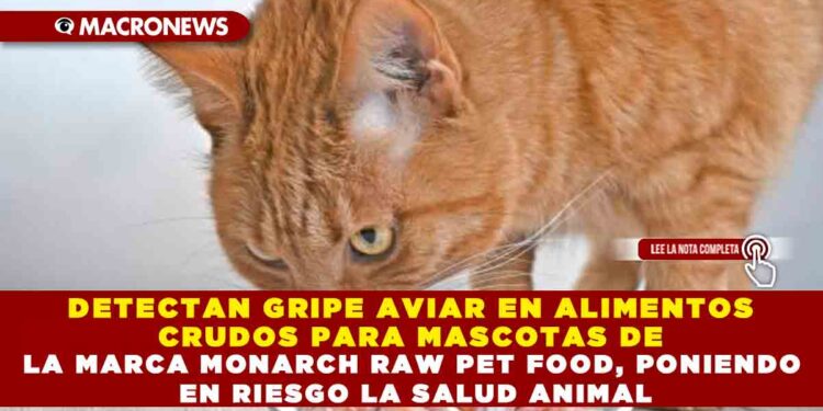 DETECTAN GRIPE AVIAR EN ALIMENTOS CRUDOS PARA MASCOTAS DE LA MARCA MONARCH RAW PET FOOD, PONIENDO EN RIESGO LA SALUD ANIMAL