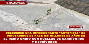 DESCUBREN UNA IMPRESIONANTE «AUTOPISTA» DE DINOSAURIOS DE HACE 166 MILLONES DE AÑOS EN EL REINO UNIDO CON HUELLAS DE CARNÍVOROS Y HERBÍVOROS