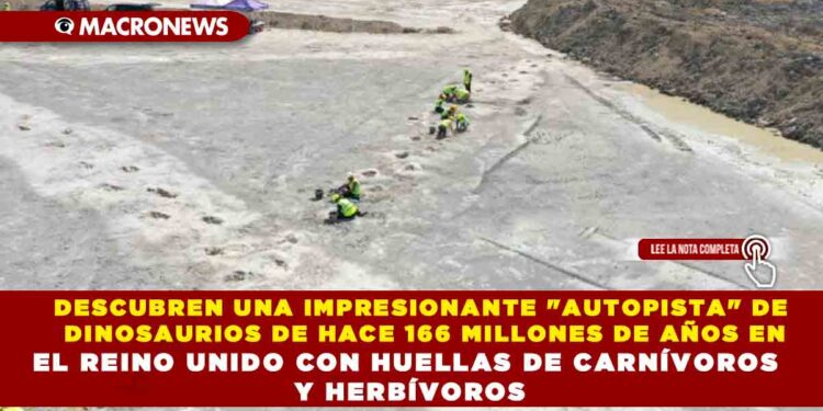 DESCUBREN UNA IMPRESIONANTE «AUTOPISTA» DE DINOSAURIOS DE HACE 166 MILLONES DE AÑOS EN EL REINO UNIDO CON HUELLAS DE CARNÍVOROS Y HERBÍVOROS