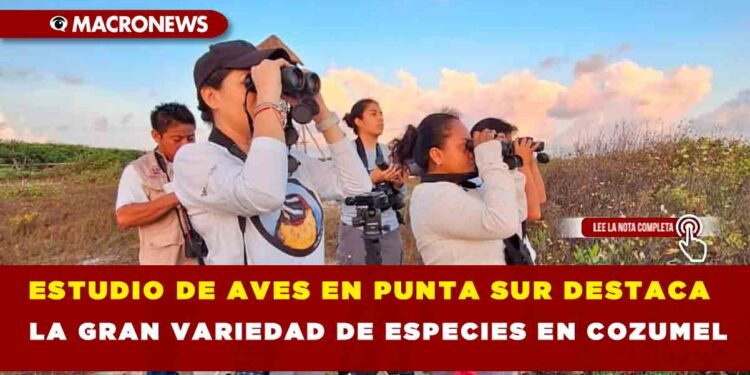 ESTUDIO DE AVES EN PUNTA SUR DESTACA LA GRAN VARIEDAD DE ESPECIES EN COZUMEL