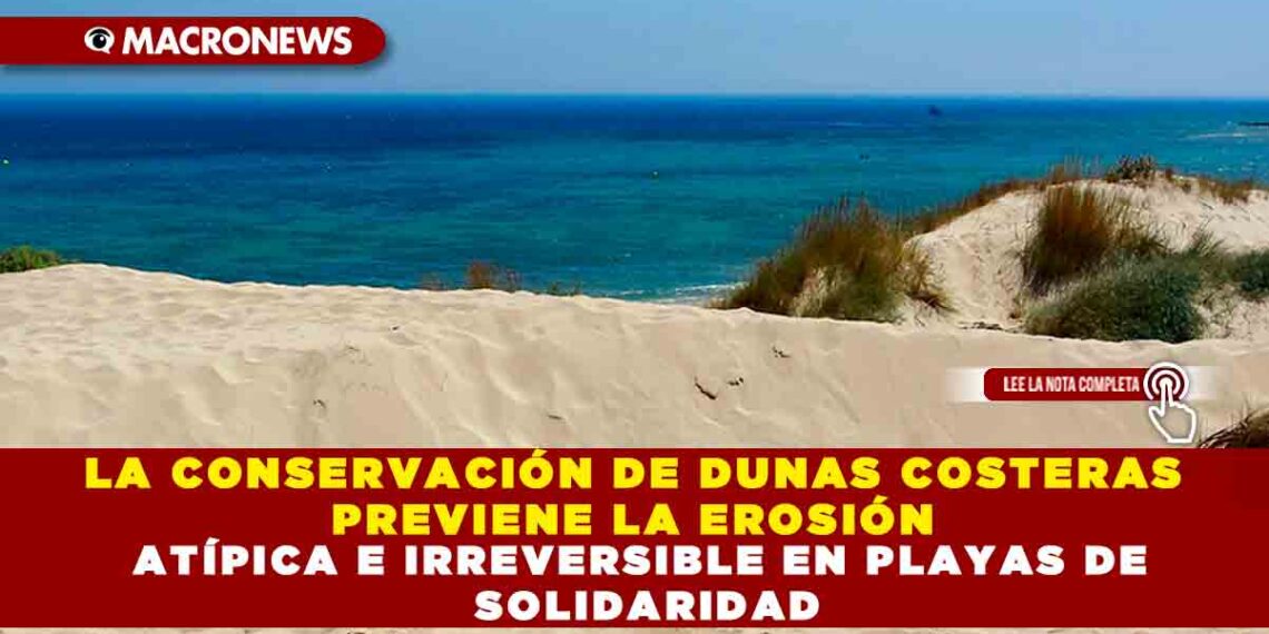 LA CONSERVACIÓN DE DUNAS COSTERAS PREVIENE LA EROSIÓN ATÍPICA E IRREVERSIBLE EN PLAYAS DE SOLIDARIDAD