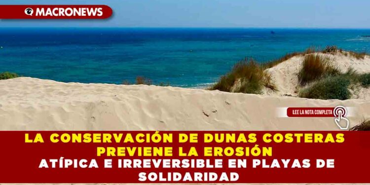 LA CONSERVACIÓN DE DUNAS COSTERAS PREVIENE LA EROSIÓN ATÍPICA E IRREVERSIBLE EN PLAYAS DE SOLIDARIDAD