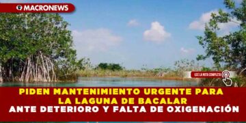 PIDEN MANTENIMIENTO URGENTE PARA LA LAGUNA DE BACALAR ANTE DETERIORO Y FALTA DE OXIGENACIÓN