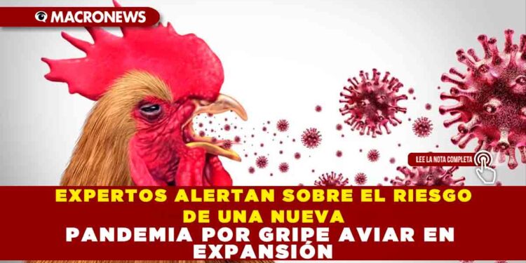 EXPERTOS ALERTAN SOBRE EL RIESGO DE UNA NUEVA PANDEMIA POR GRIPE AVIAR EN EXPANSIÓN