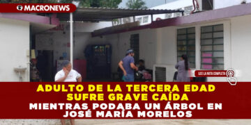 ADULTO DE LA TERCERA EDAD SUFRE GRAVE CAÍDA MIENTRAS PODABA UN ÁRBOL EN JOSÉ MARÍA MORELOS