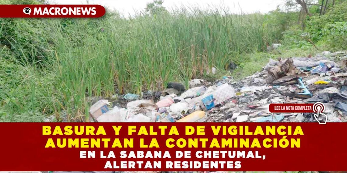 BASURA Y FALTA DE VIGILANCIA AUMENTAN LA CONTAMINACIÓN EN LA SABANA DE CHETUMAL, ALERTAN RESIDENTES