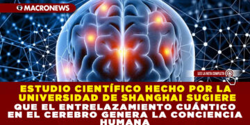ESTUDIO CIENTÍFICO HECHO POR  LA UNIVERSIDAD DE SHANGHAI SUGIERE QUE EL ENTRELAZAMIENTO CUÁNTICO EN EL CEREBRO GENERA LA CONCIENCIA HUMANA