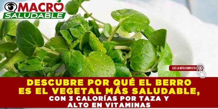 DESCUBRE POR QUÉ EL BERRO ES EL VEGETAL MÁS SALUDABLE, CON 3 CALORÍAS POR TAZA Y ALTO EN VITAMINAS