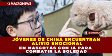 JÓVENES DE CHINA ENCUENTRAN ALIVIO EMOCIONAL EN MASCOTAS CON IA PARA COMBATIR LA SOLEDAD
